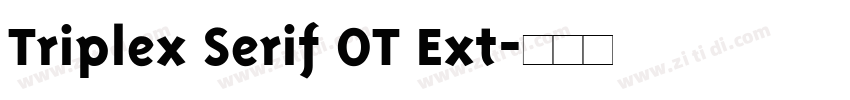 Triplex Serif OT Ext字体转换